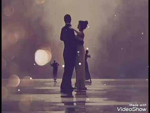 كلمات سيد ابو نصيره