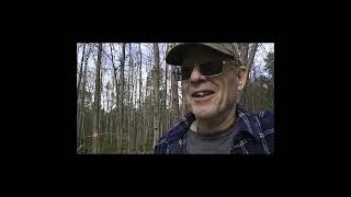 Reveling AT Delaware Water Gap