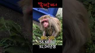 2023년 재미로 보는 대박띠&amp;쪽빡띠#shorts