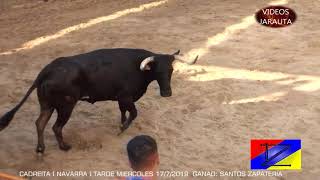 CADREITA  (NAVARRA)  TARDE VACAS EN LA PLAZA  (MIÉRCOLES 17 JULIO 2019)  SANTOS ZAPATERIA