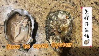 生蚝大揭秘：轻松五步，成为开蚝高手 ，怎样开生蚝|Mastering the Art of Oyster Shucking: A Step-by-Step Guide by Kach Pretty Life 卡卡生活频道 34 views 1 month ago 1 minute, 31 seconds