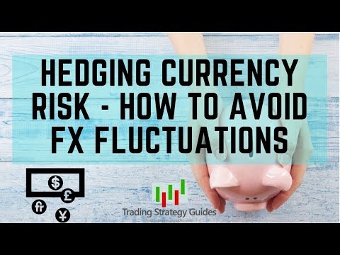 Currency Hedging How To Avoid Risk In Fx Fluctuations - 