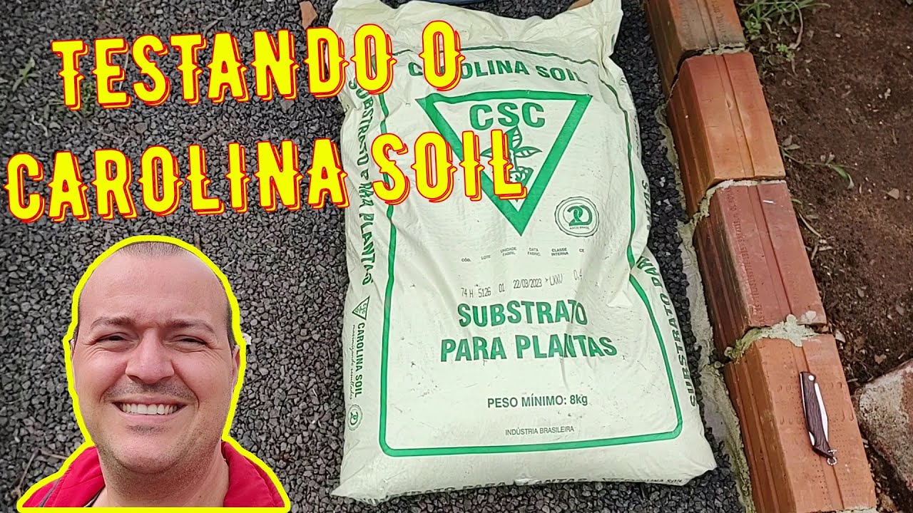 SUBSTRATO CAROLINA SOIL, PRODUÇÃO DE MUDAS DE HORTALIÇAS, SERÁ QUE É BOA ESSA MARCA?