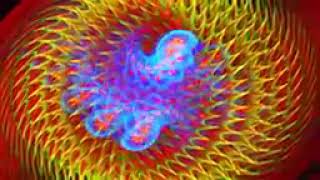 10 hours fractal animations electric sheep video only 1080hd slowtv