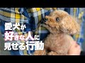 愛犬が好きな人や家族に見せる行動 愛犬の愛情表現