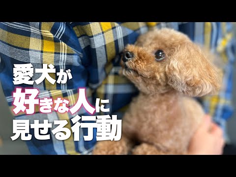 愛犬が好きな人や家族に見せる行動　愛犬の愛情表現
