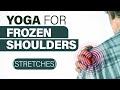 Yoga for frozen shoulders  atul  sri sri school of yoga