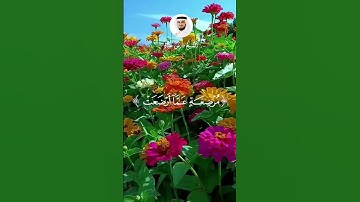 الآيات 1 2 من سورة الحج  #فارس_عباد