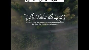 أرح مسمعك 🎧 وقلبك ❤️ القارئ:- #وديع_اليمني #روائع_وديع_اليمني #قرآني_حياتي_كلها