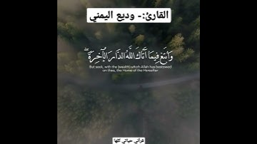 أرح مسمعك 🎧 وقلبك ❤️ القارئ:- #وديع_اليمني #روائع_وديع_اليمني #قرآني_حياتي_كلها