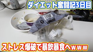 【ダイエット3日目】ラーメン屋→牛丼屋→コンビニ巡りで爆食いだよ【100キロデブ】