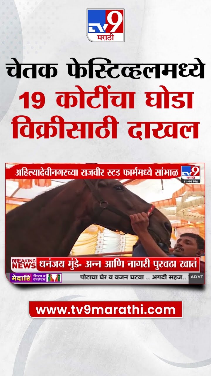 Nandurbar Breaking | नंदुरबारच्या सारंगखेडा चेतक फेस्टिव्हलमध्ये 19 कोटींचा घोडा विक्रीसाठी दाखल