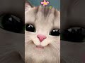 dhire dhire hi smj aata h 🫣😝#cutekitty#catvideos#viralvideo#trendingreels#funny#selflove#viral#audio