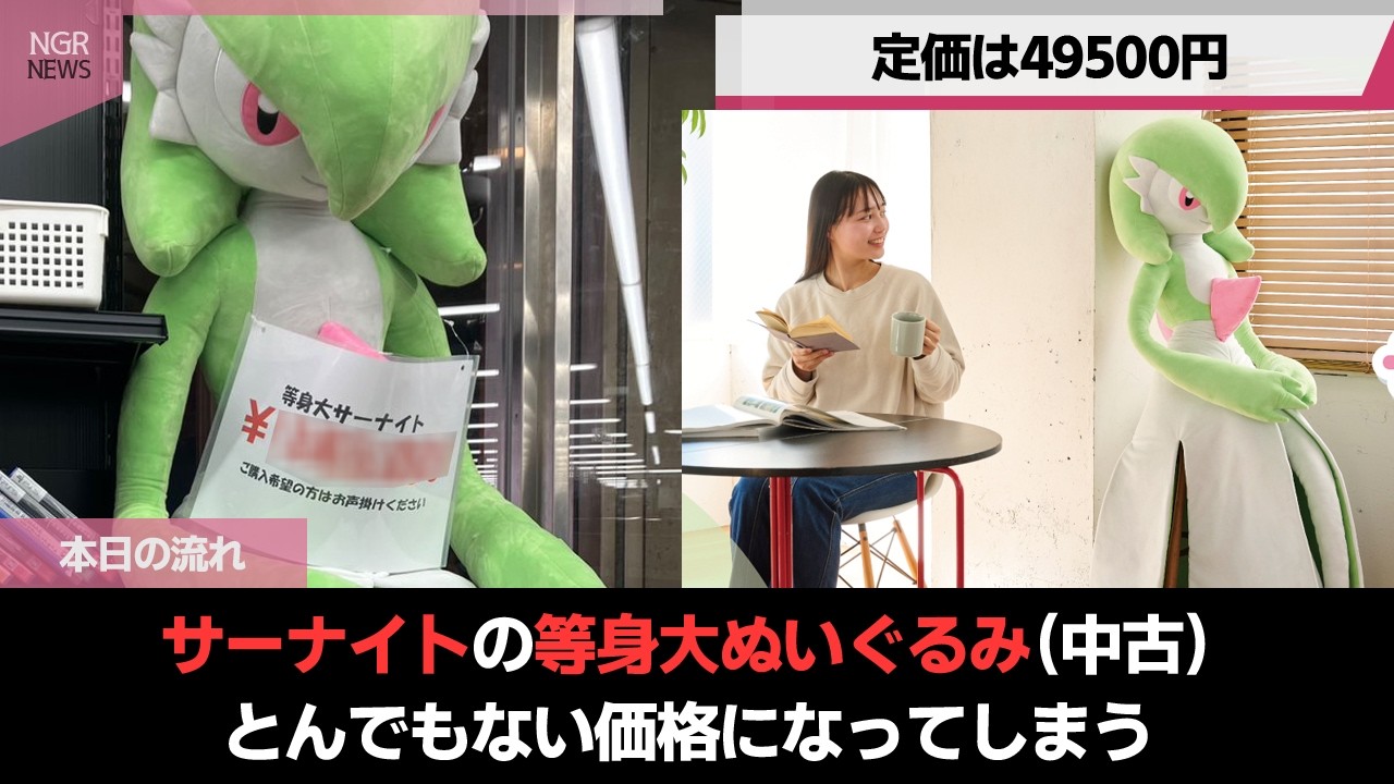 等身大サーナイトぬいぐるみ(中古)、とんでもない価格で取引される