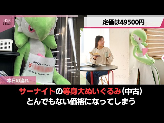 等身大サーナイトぬいぐるみ(中古)、とんでもない価格で取引される