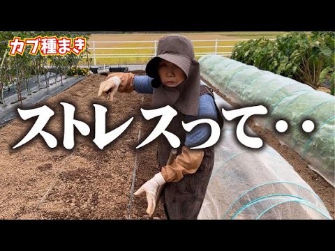 【畑をすること生きること】ひろちゃん健康の秘訣 【カブ種まき】