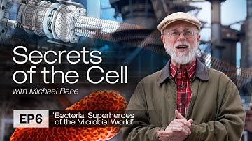 Bacteriën: Superhelden van de microbiële wereld (Geheimen van de cel, aflevering 6)