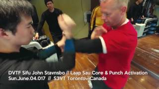 Real To Reel // Laap Sau w. Sifu John Stavnsbo screenshot 1