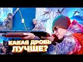 Какую дробь выбрать для охоты. Дробь или Картечь. Тест номеров дроби.