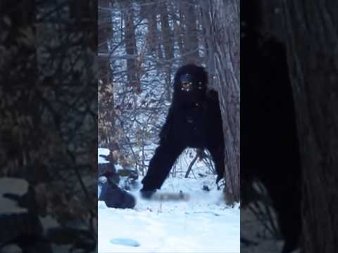 😨Это человек или зверь?