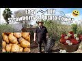 Easy DIY  Strawberry / Potato Tower Using A Laundry Basket