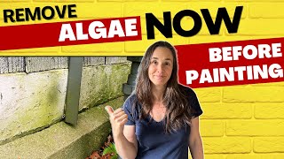 EASY step to remove algae from exterior trim before painting