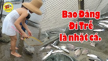 Bao đăng mà đi trễ  thì là đi nhặt cá chứ không phải bắt cá: Mò Cua Bắt Ốc - TV