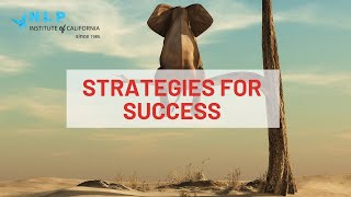 NLP Practitioner Online - Section 5 Overview - Strategies For Success And PLanning For The Future