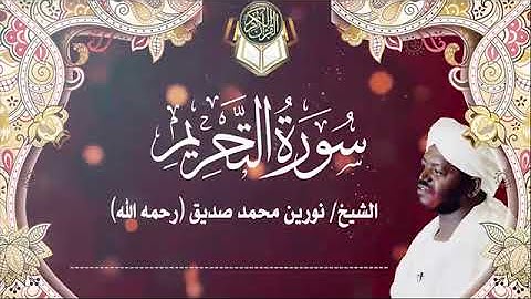 سورة التحريم | الشيخ نورين محمد صديق