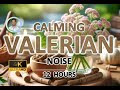 Calming valerian root brown noise  12 hours  black screen  for sleep stress and tinnitus relief