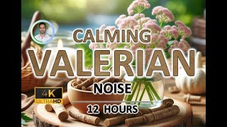 Calming Valerian Root Brown Noise | 12 Hours | Black Screen | For Sleep, Stress and Tinnitus Relief