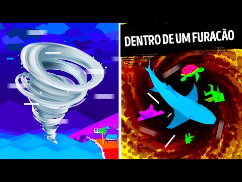 Vídeo: Durante um furacão o que acontece debaixo d'água?