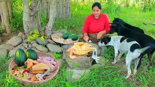 Village Cooking  Women Cooking Chicken with chili for dog  Eating delicious HD