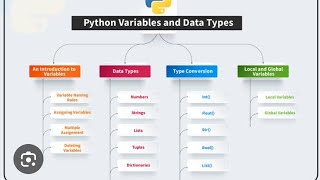 Python: Exploring Data Types, Identifiers, and More!
