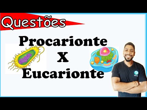 Procariontes x eucariontes: resolução de questões (Citologia)