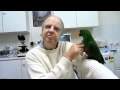 Behavioural Problem in Eclectus Parrot with Randy Bird Syndrome #1 220710