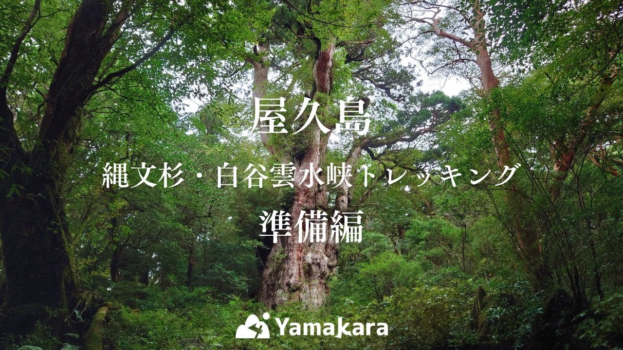 【屋久島準備編】縄文杉・白谷雲水峡トレッキング