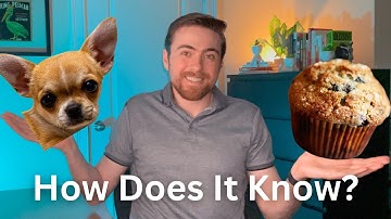 Can AI Classify Chihuahuas vs Muffins? (Beginner ML Project)