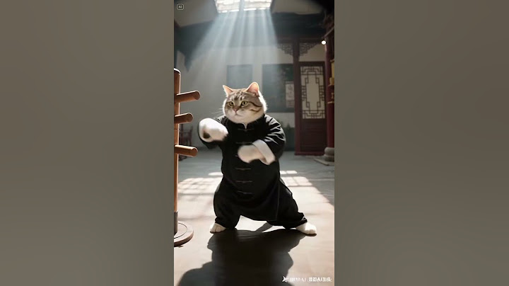 🐾這隻貓咪打詠春，結果竟變成閃電五連鞭⚡網友看傻眼！🐾猫が詠春拳！？まさかの五連撃で箱が大破⚡！This Cat Just Did Wing Chun..!