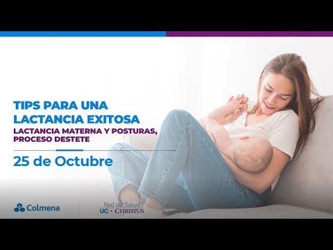 Video: Reglas Para Una Maternidad Exitosa