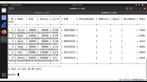 Seed lab2 BS-IT-M2-19-59
