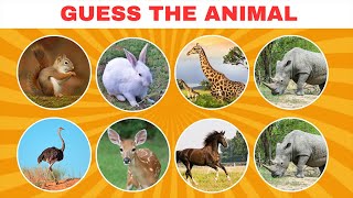 Guess the Animals in 5 Seconds