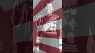 Ww2 Asia Sweet Little Bumble Bee