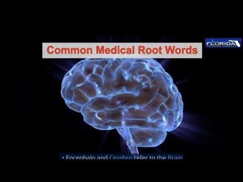 Common Medical Root