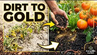 Stop Ruining Your Soil (The Amendment Guide Every Gardener Needs) Before You Plant Anything