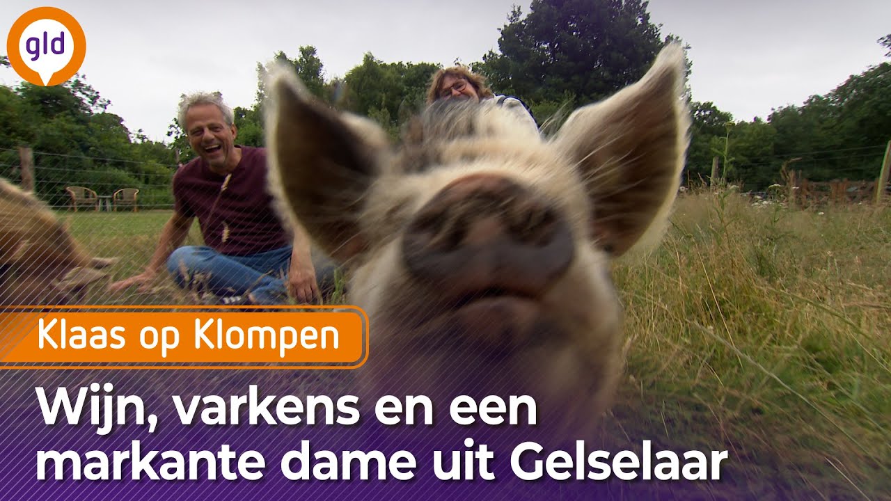 Klaas op Klompen - Boereneschpad Gelselaar