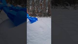 Famous This little guy turned out so perfect? ☃️ #snow Profile