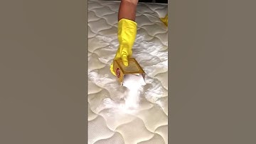 How to Get Pee Out of a Mattress Home Hack