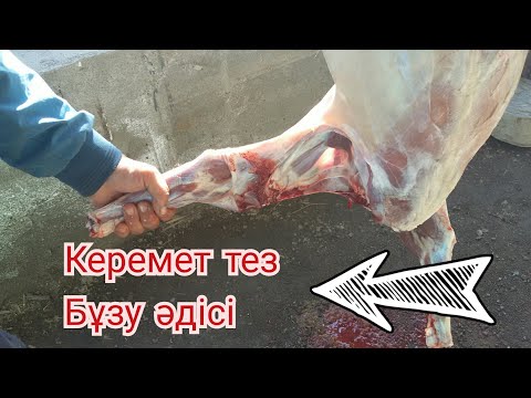 Бейне: Жылдам ет еті