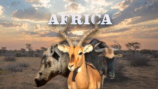 Africa,  un viaje de caza obligatorio.